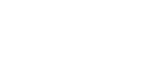 Carval System Carval Logo